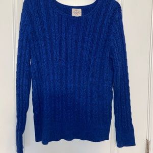 Blue Sweater